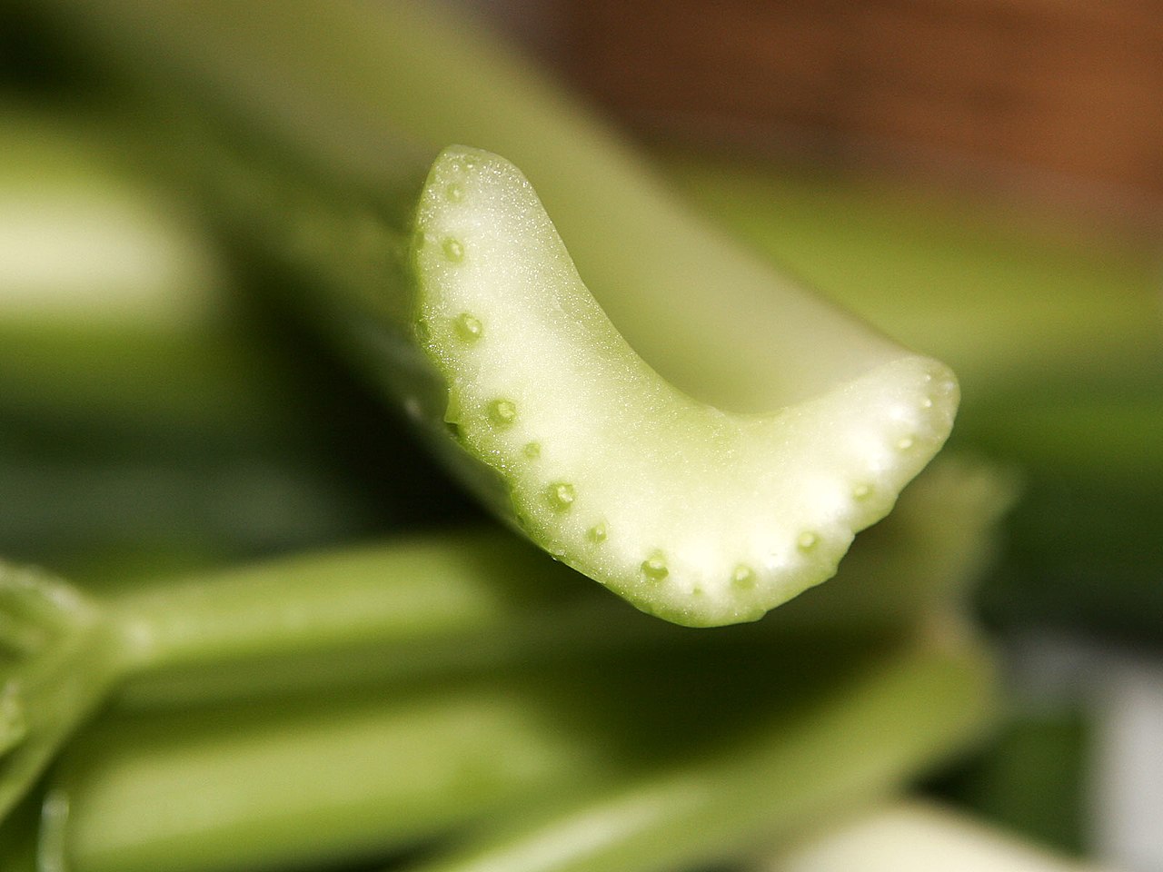 A close-up image of a celery stalk