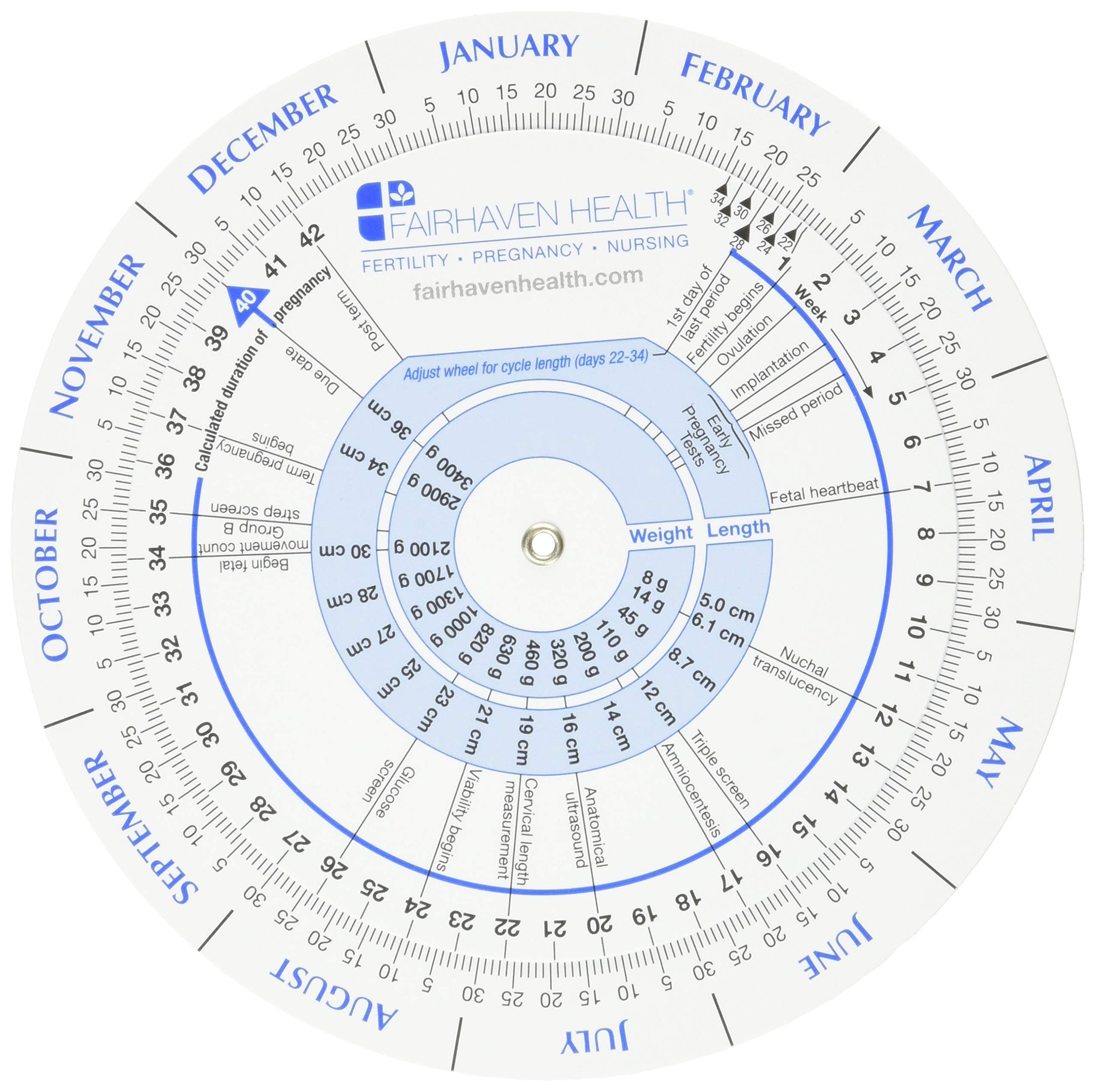 Ovulation calendar