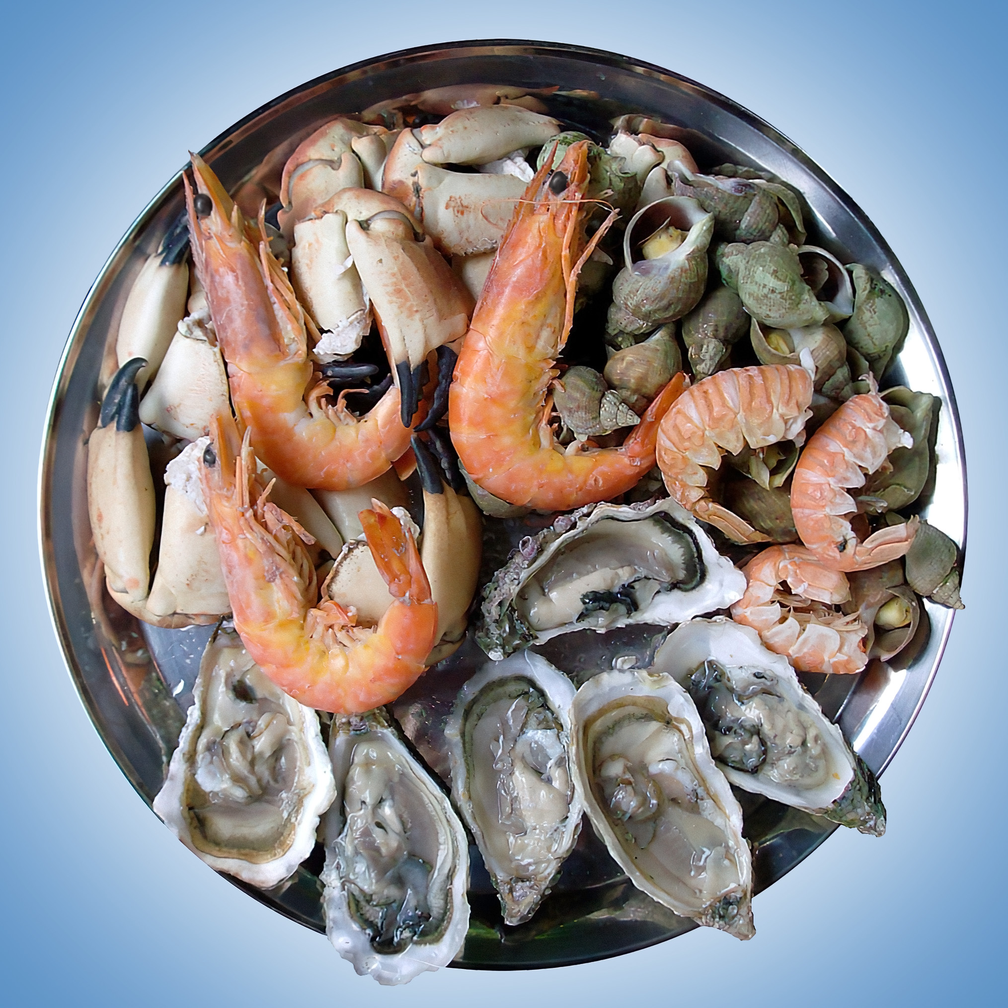 Shellfish selection